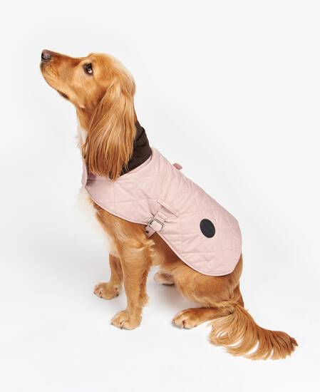 Quilted Dog Coat 