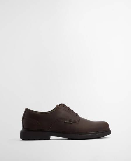 Carthy Derby Shoes Dark Brown