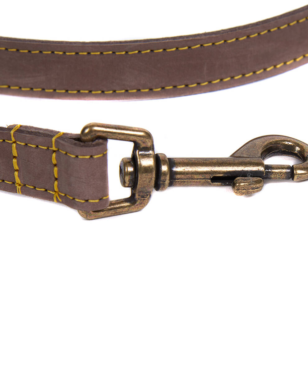 Leather Dog Lead