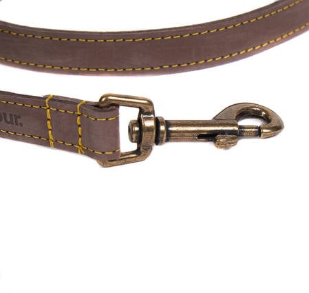 Leather Dog Lead 