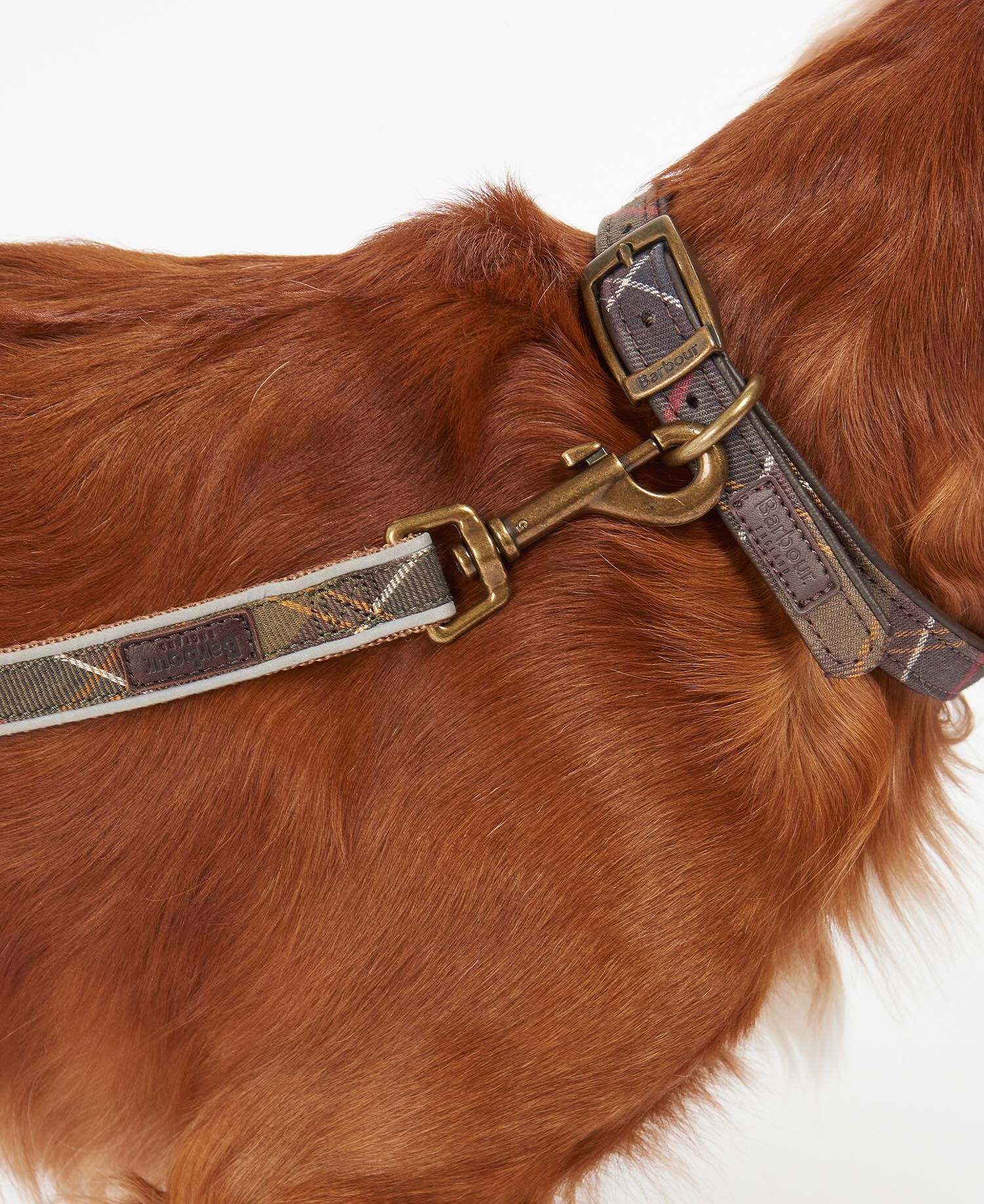 Reflective Tartan Dog Lead Classic Tartan