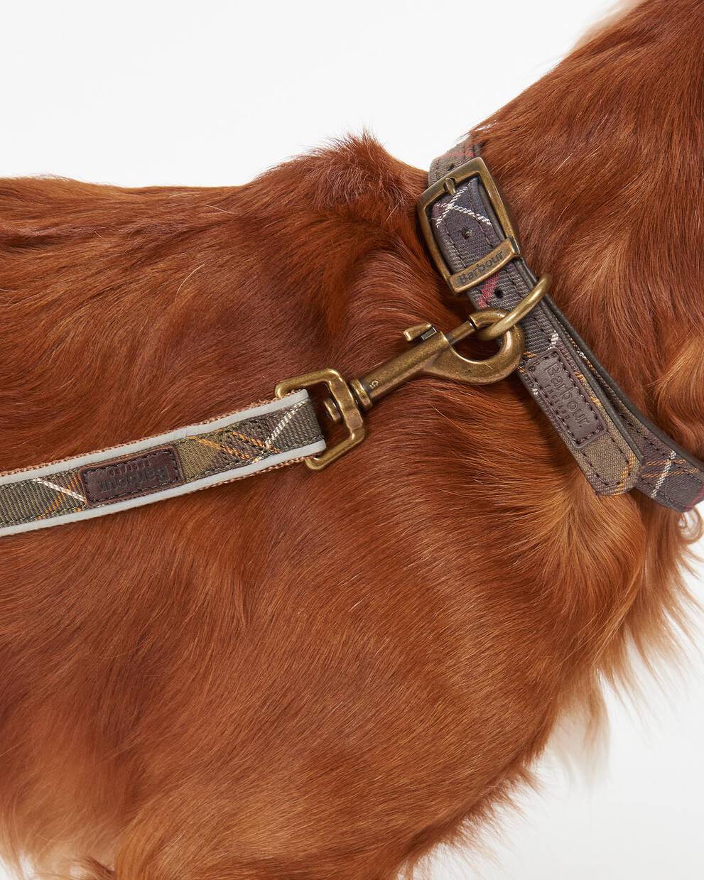 Reflective Tartan Dog Lead