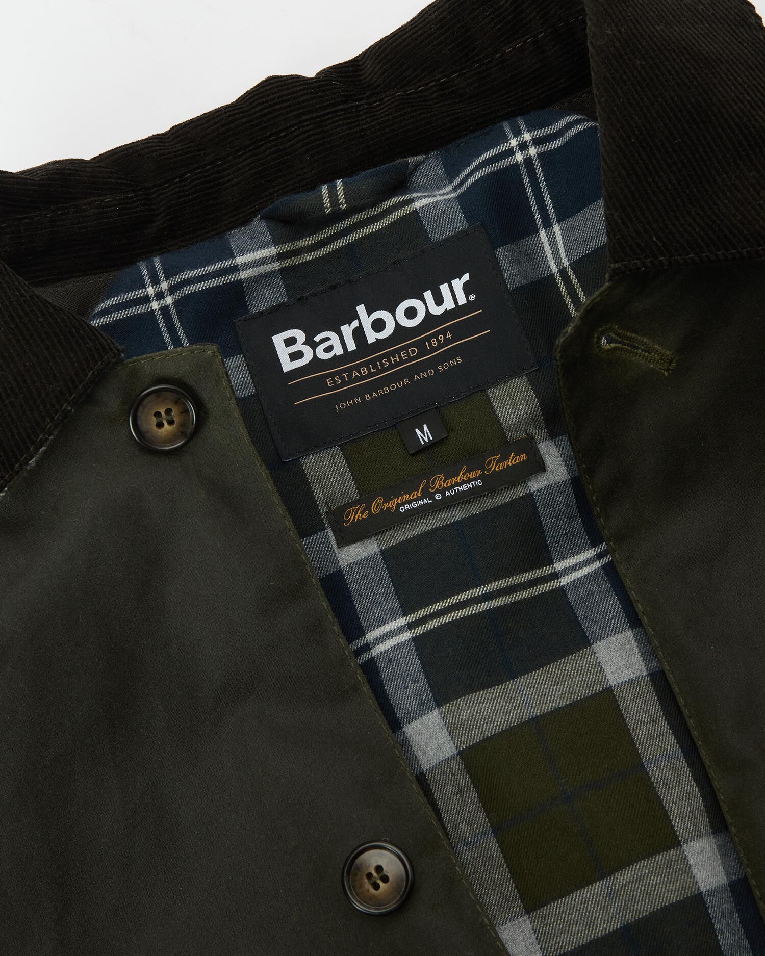 Short Lorden Wax Mac Olive