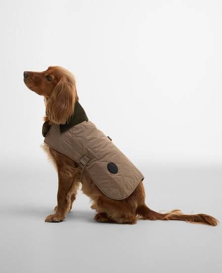 Quilted Dog Coat Sand Dune