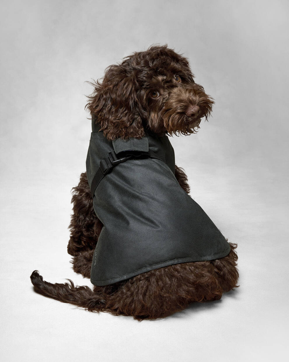 Barbour x ARKET Fairgame Waxed Dog Coat