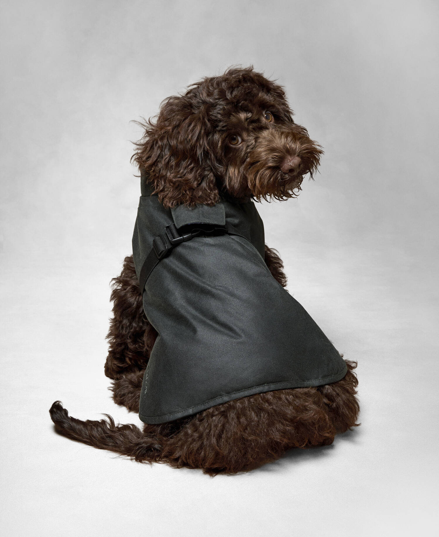 Barbour x ARKET Fairgame Waxed Dog Coat Sage image number 1