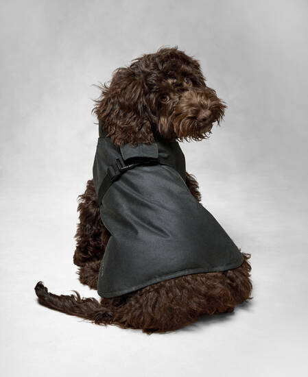 Barbour x ARKET Fairgame Waxed Dog Coat Sage