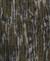 Forestswatch