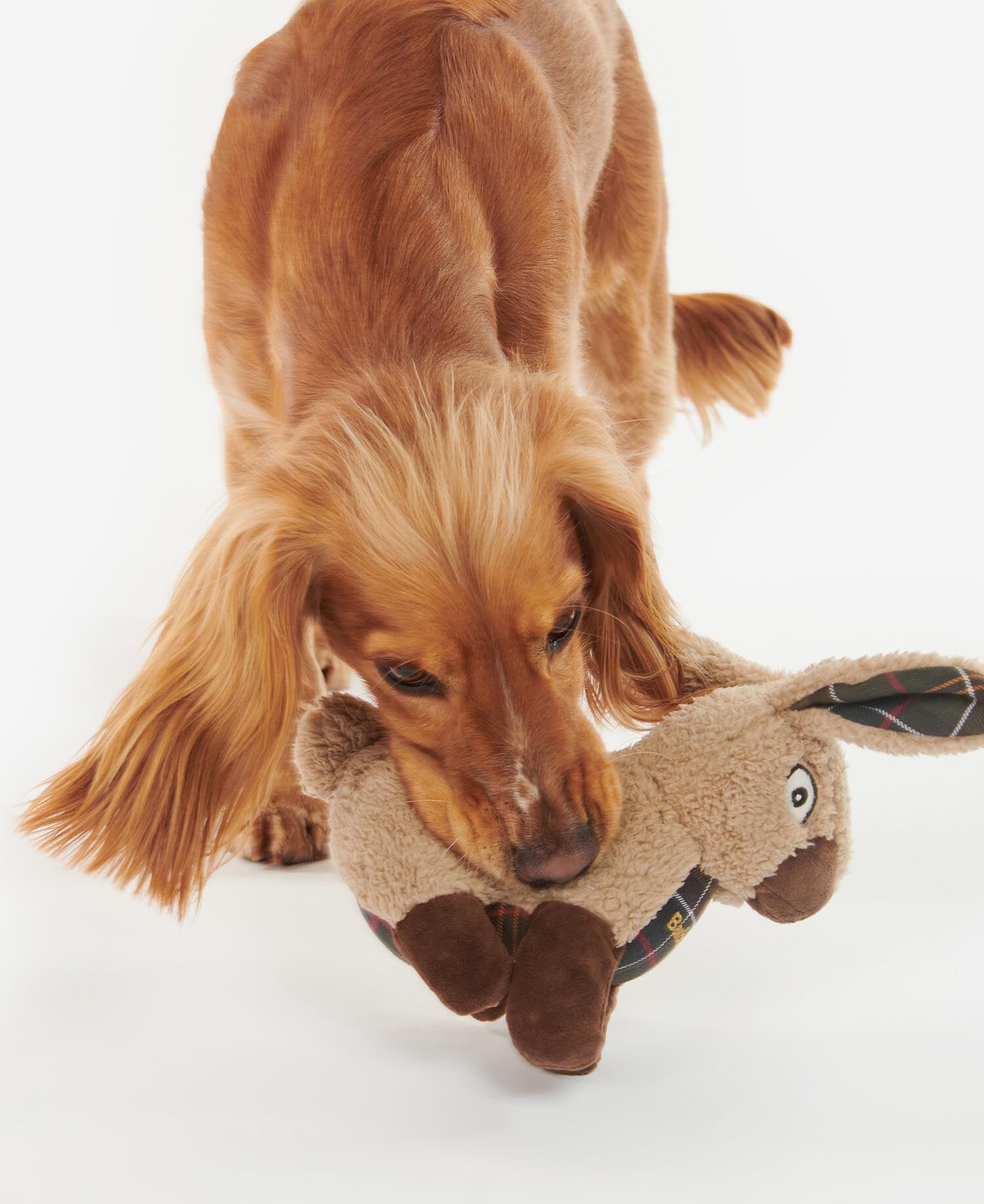 Rabbit Dog Toy Rabbit