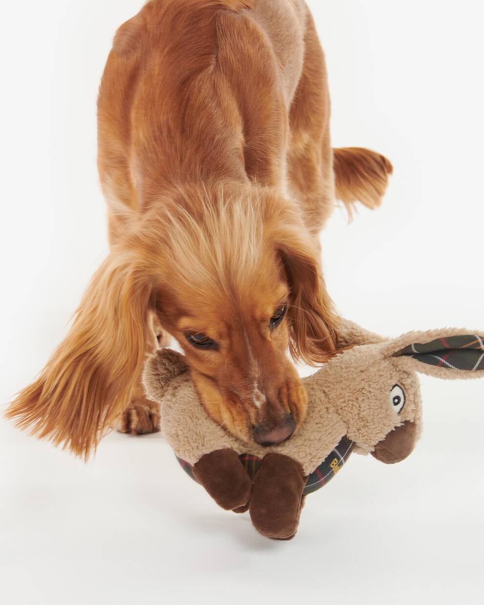 Rabbit Dog Toy