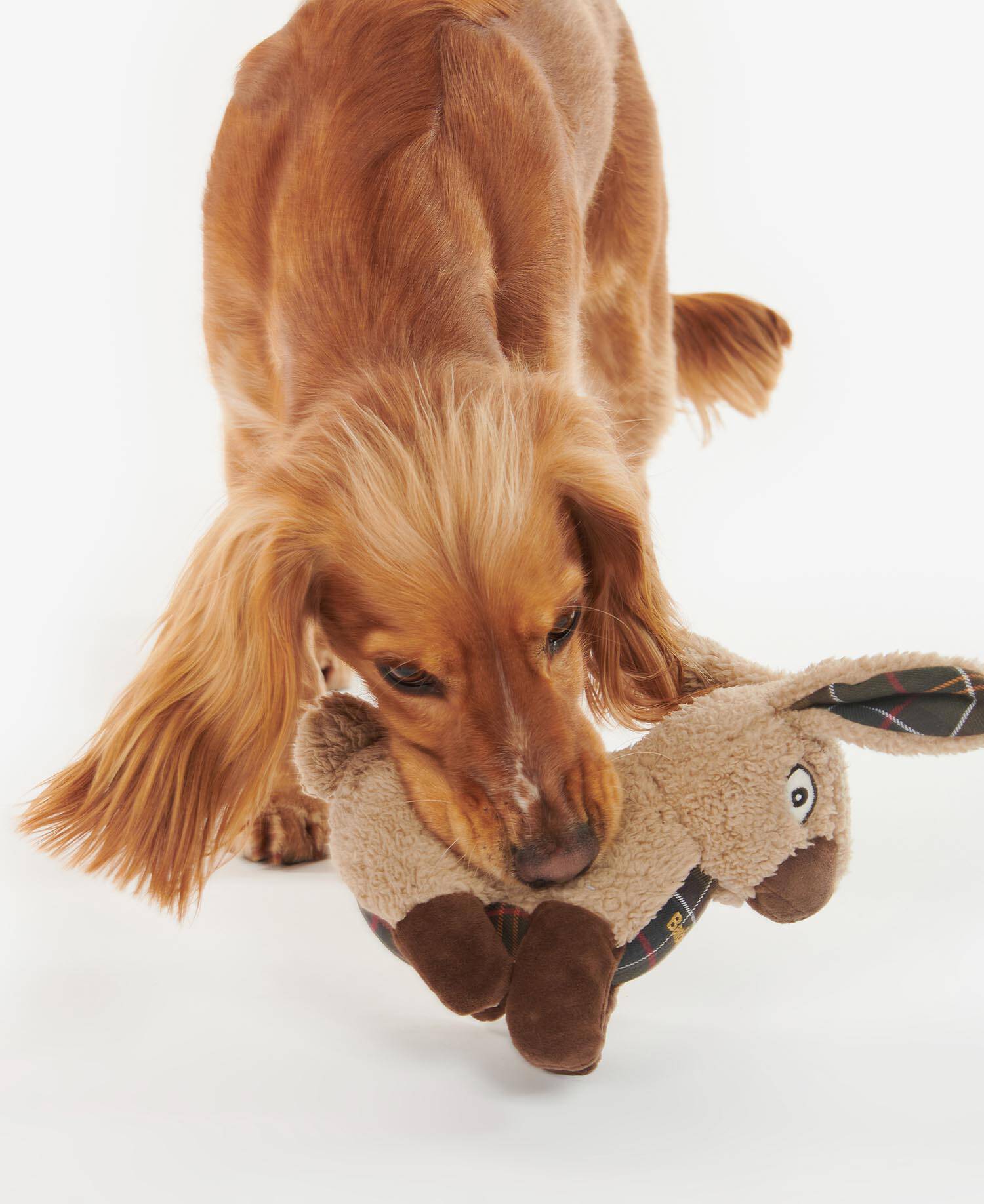 Rabbit Dog Toy Rabbit image number 5