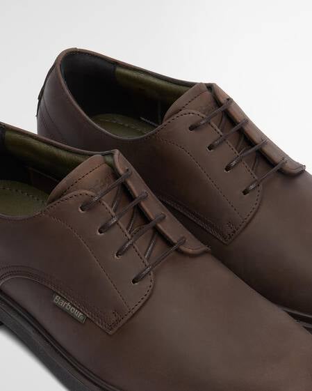 Carthy Derby Shoes Dark Brown