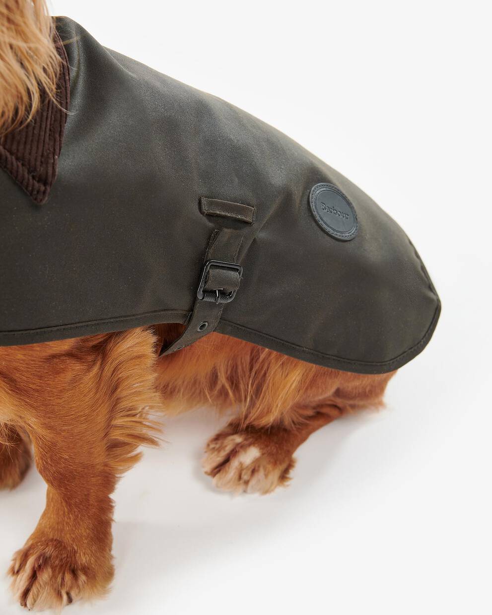 Waxed Dog Coat