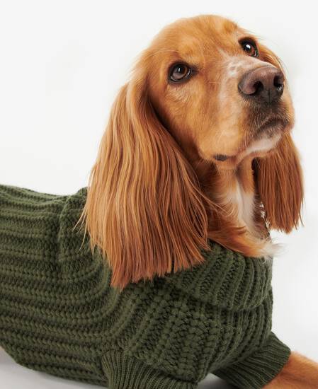 Maglia per cani Saltburn 