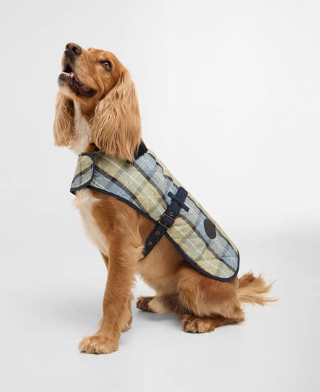Tartan Hundemantel Highland Loch Tartan