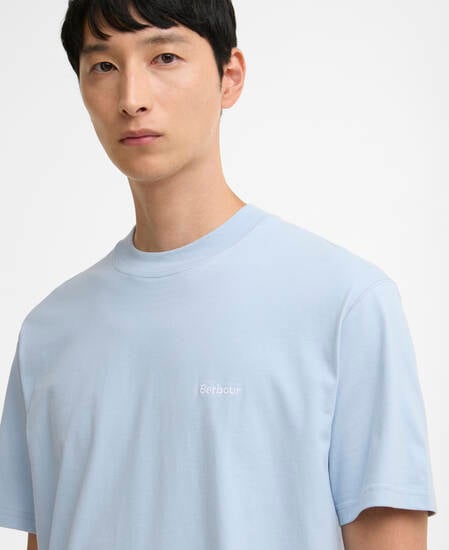 T-Shirt Dalton Logo Oversized Niagara Mist
