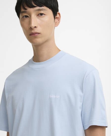 Dalton Logo Oversized T-Shirt Niagara Mist