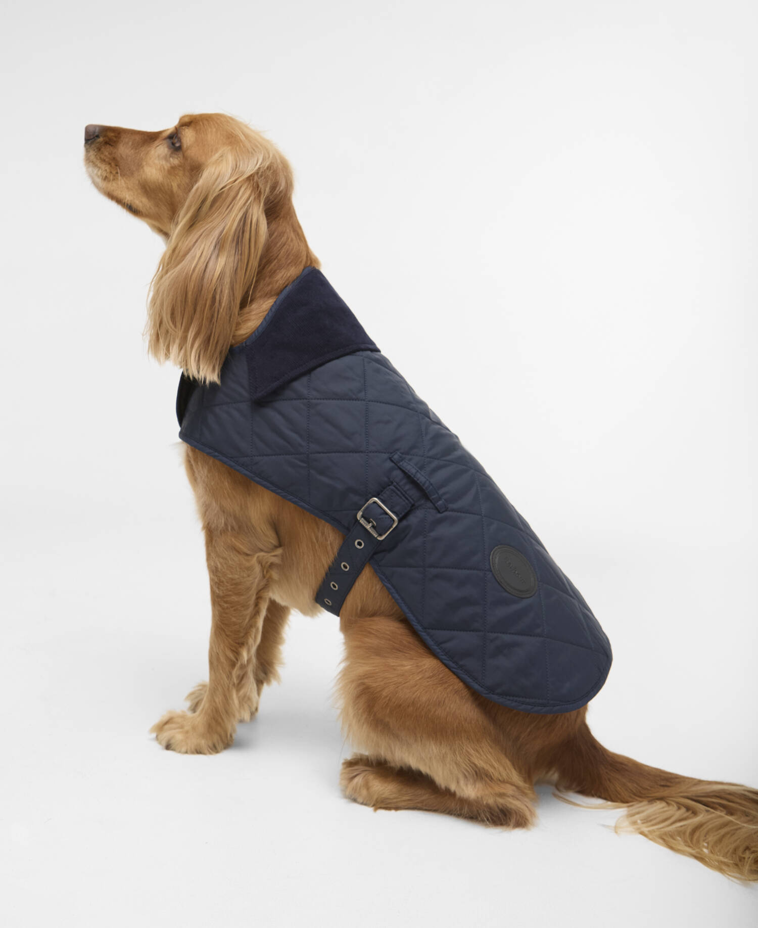 Quilted Dog Coat Dark Navy image number 1