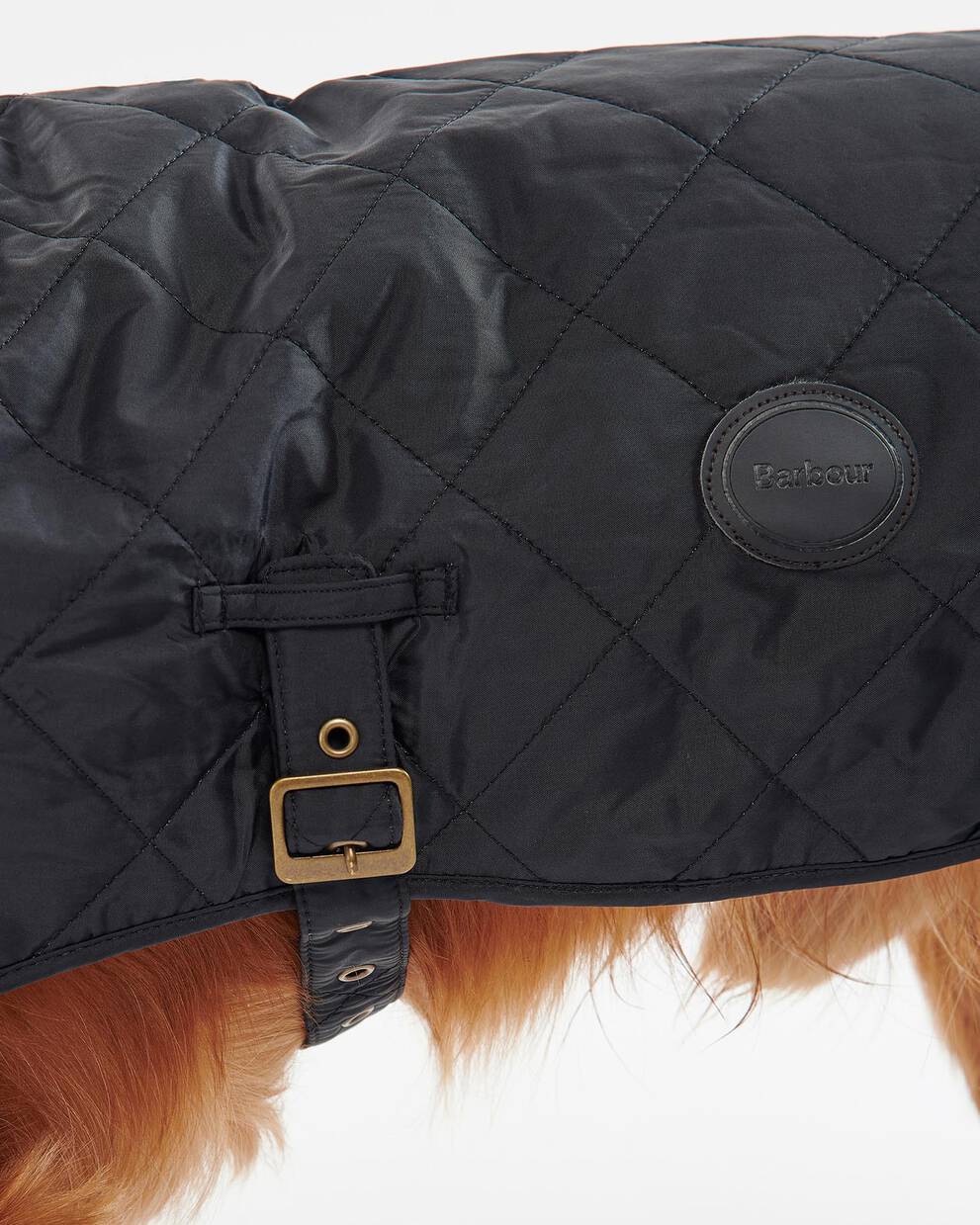 Quilted Dog Coat
