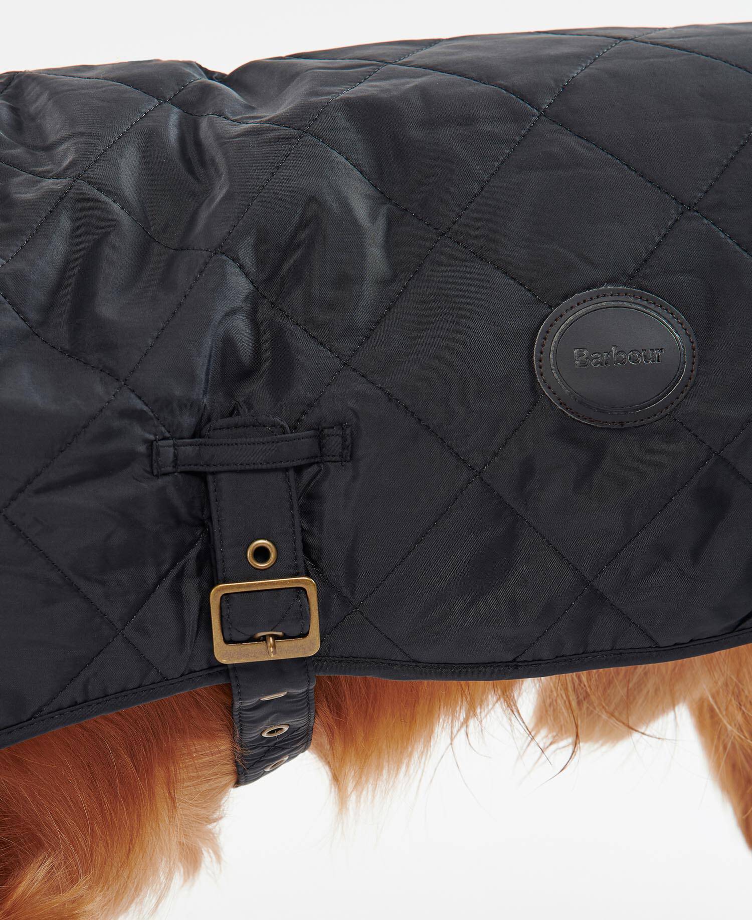 Quilted Dog Coat Classic Black image number 3