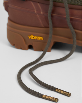 Immagine descrittiva