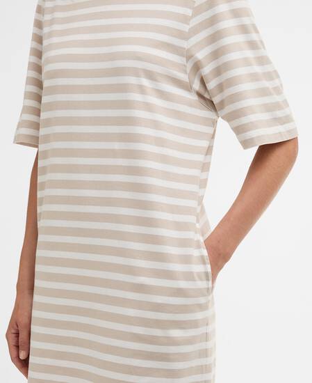 Lucinda Striped Mini Dress Mist Stripe