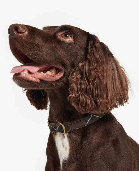 Tartan/Webbing Collar Classic Tartan