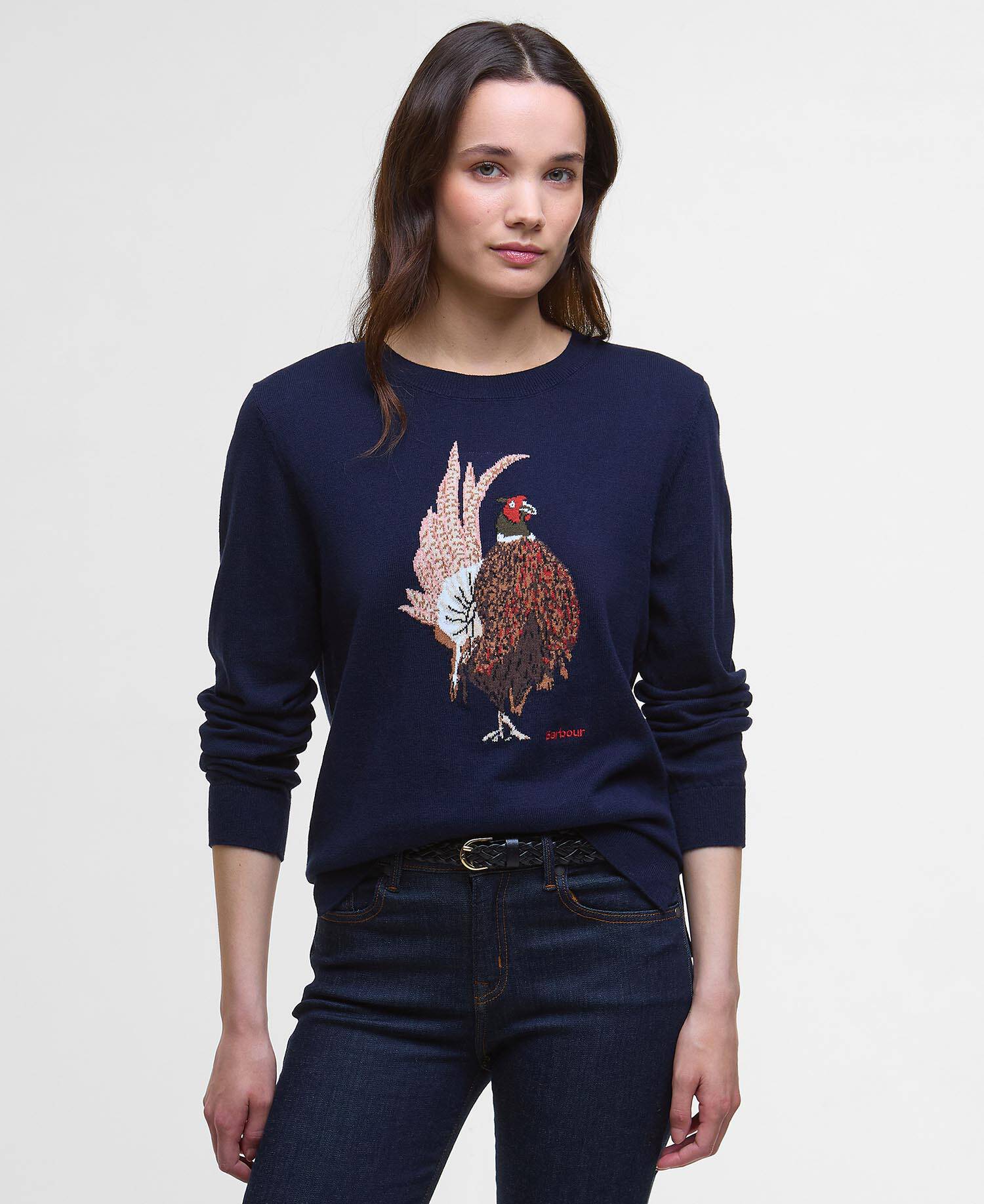 Homeswood Crew Neck Jumper image number 0