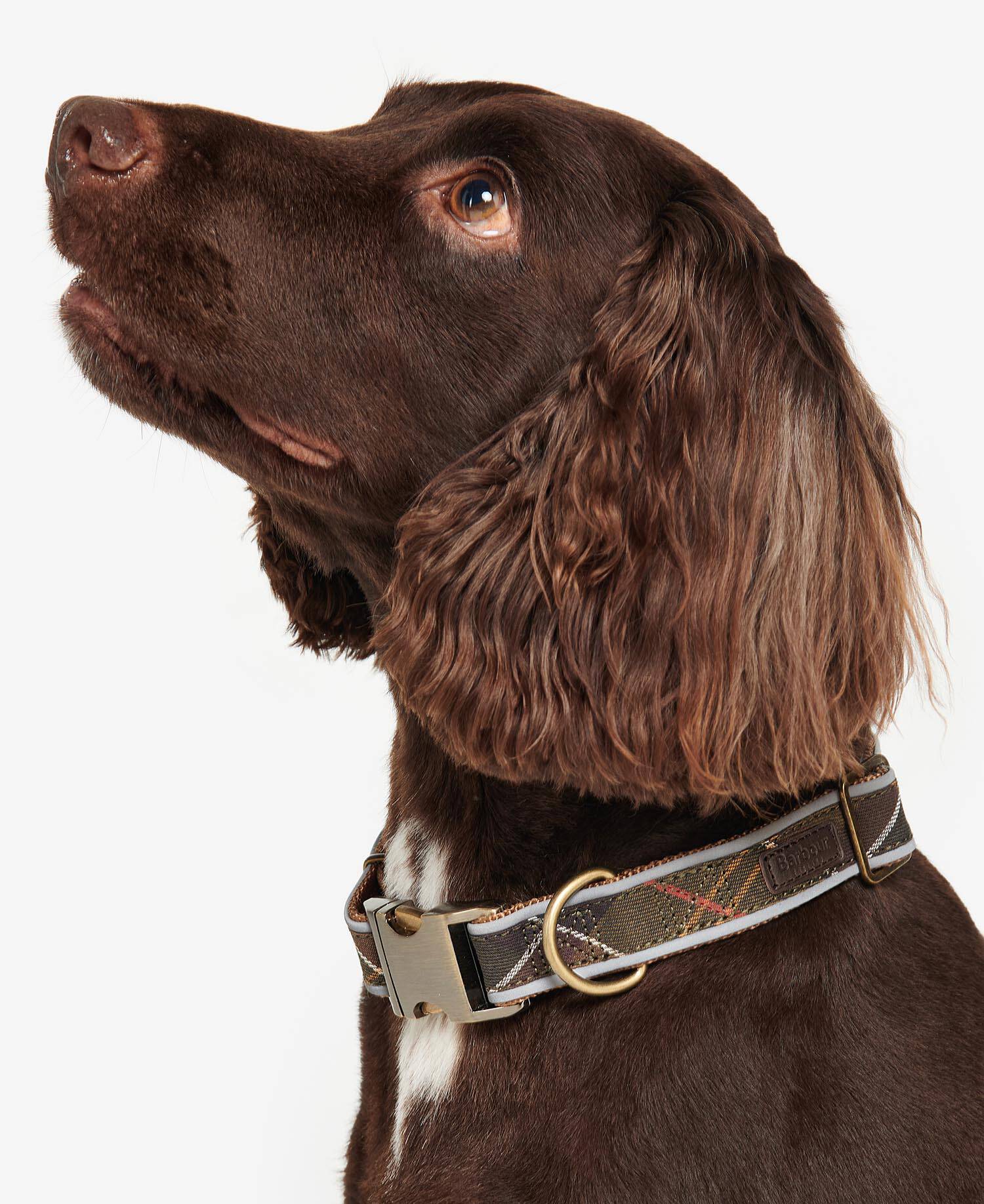 Reflective Tartan Dog Collar Classic Tartan image number 0