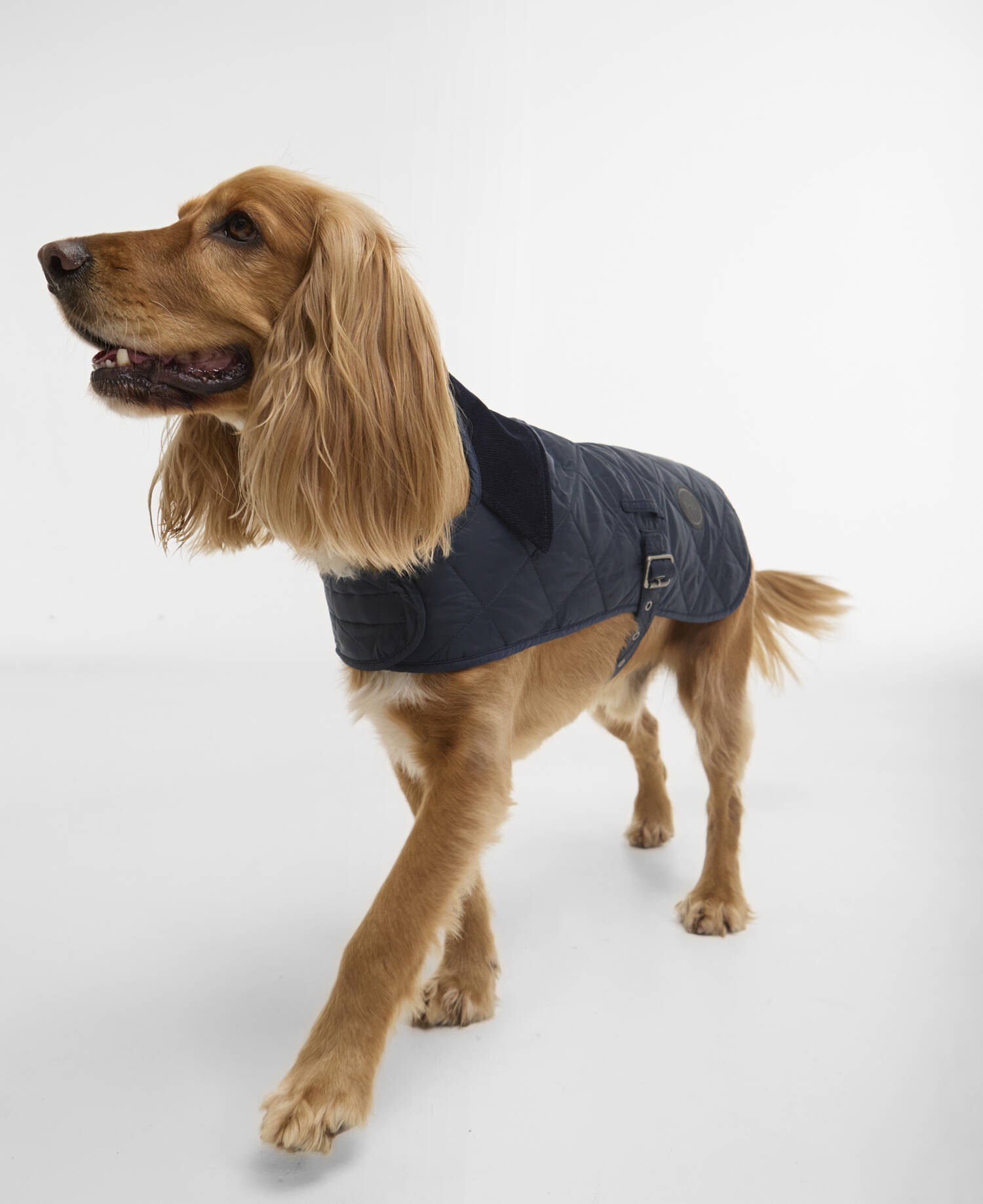 Quilted Dog Coat Dark Navy image number 0