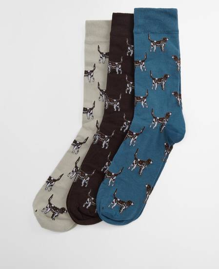 Calzini con cani Pointer in confezione regalo Blue Stone