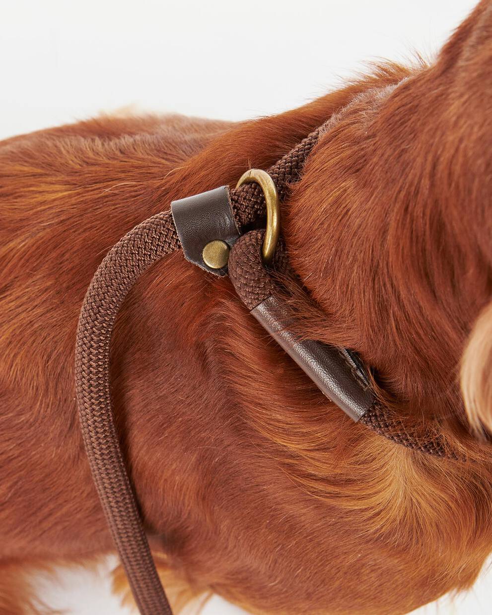 Tartan Trimmed Slip Lead