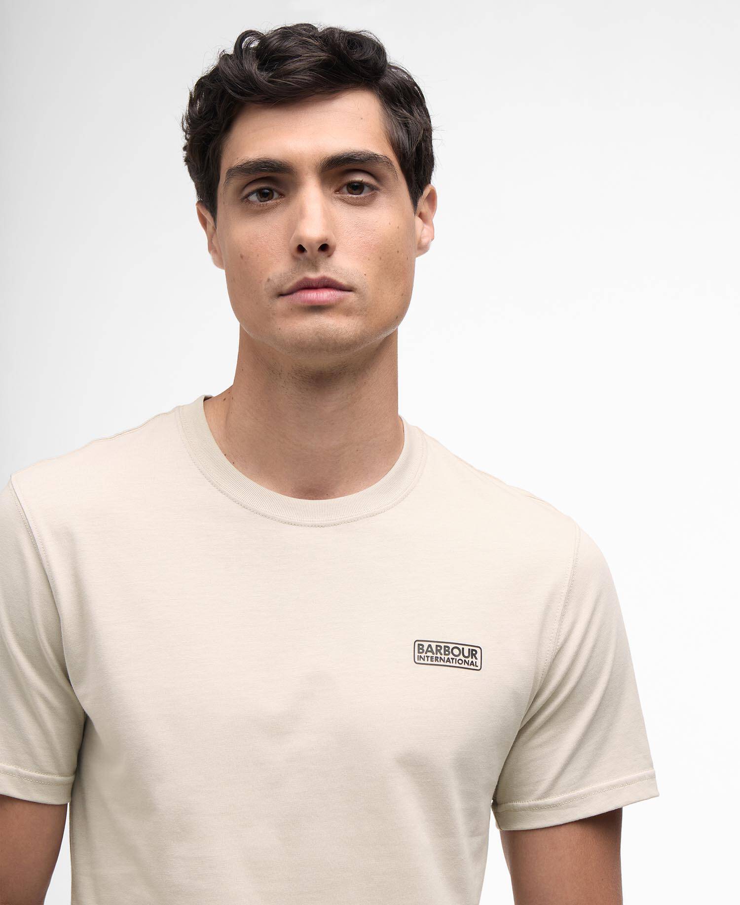 Small Logo T-Shirt Mist image number 3