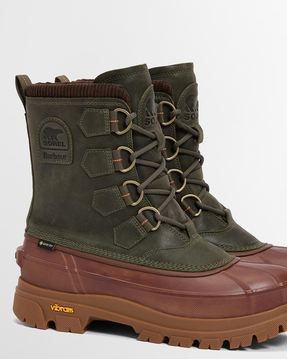 Immagine descrittiva