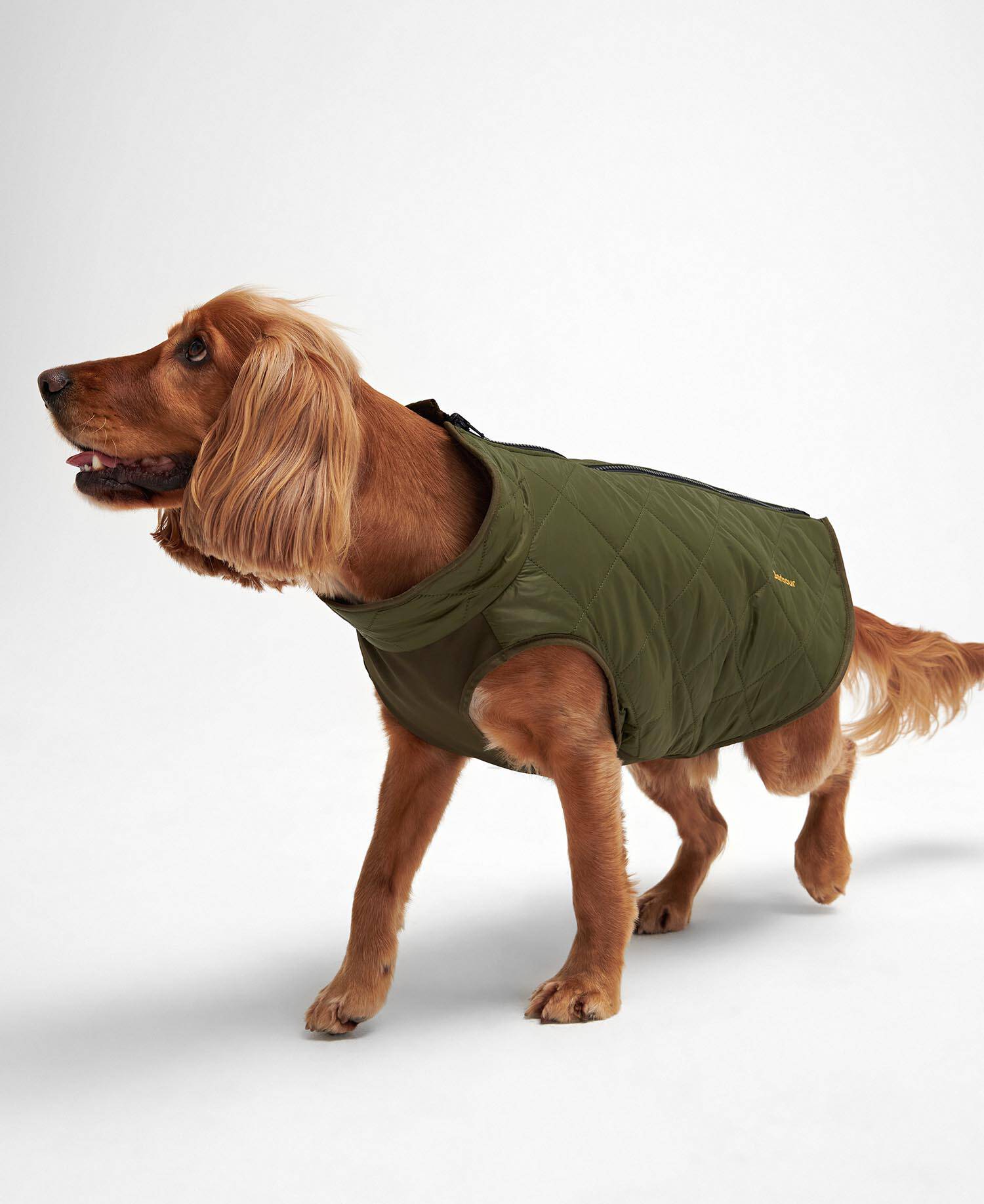 Reversible Quilted Dog Coat image number 1