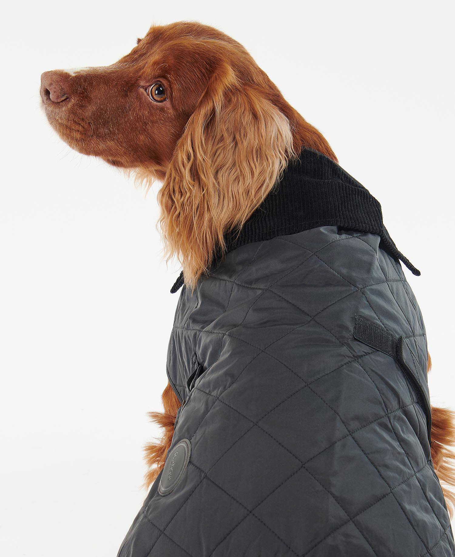 Quilted Dog Coat Classic Black image number 2