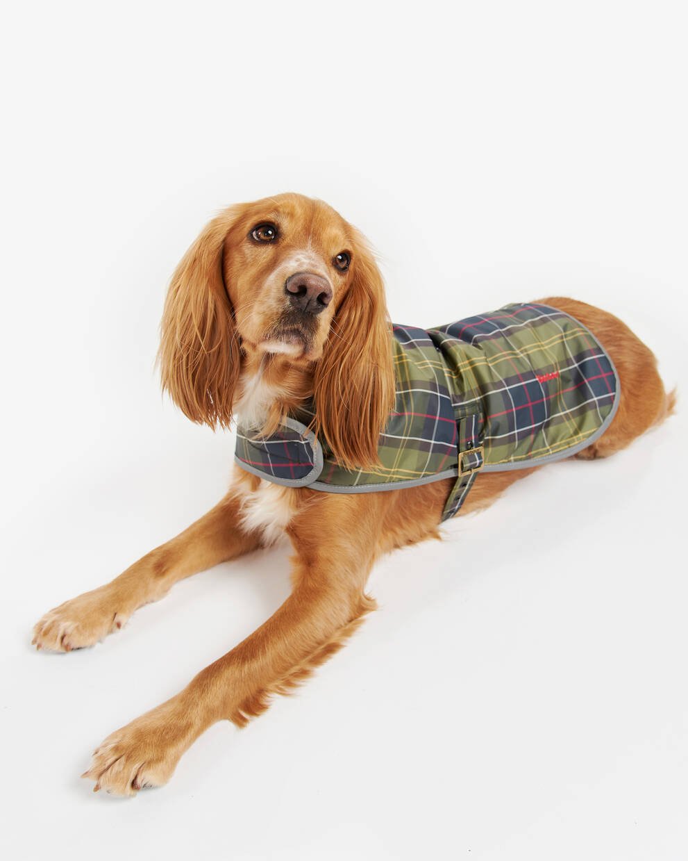 Wetherham Tartan Dog Coat