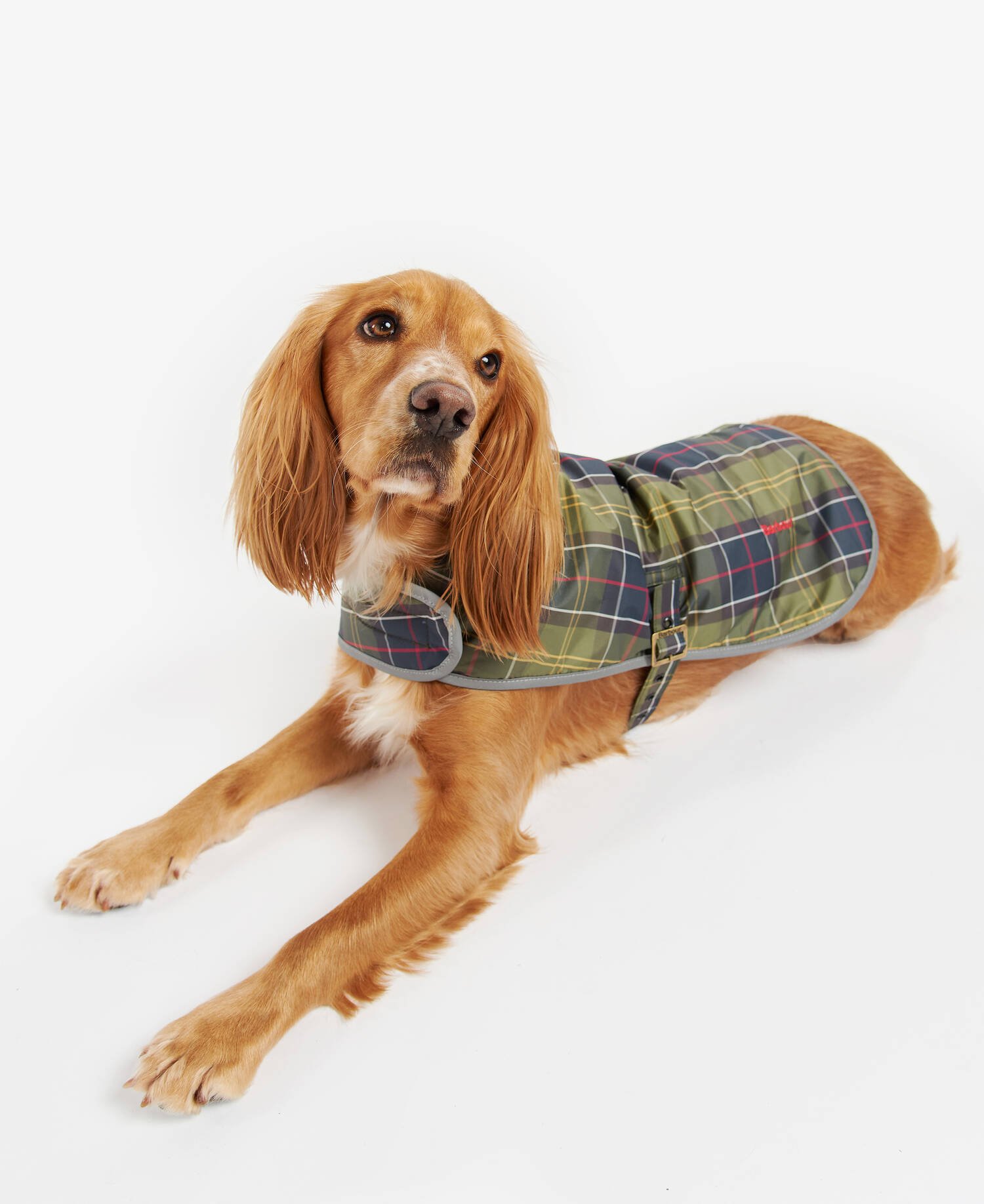 Wetherham Tartan Dog Coat image number 0