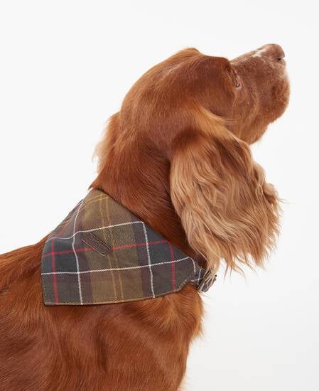 Tartan Bandana Classic Tartan