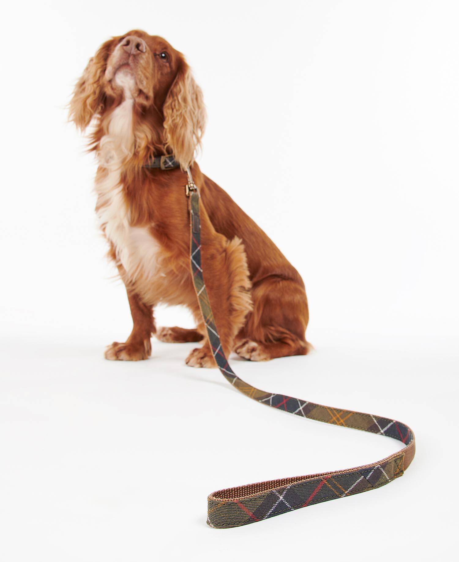 Tartan Webbing Dog Lead image number 0