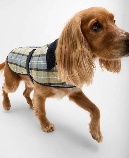 Tartan Hundemantel Highland Loch Tartan