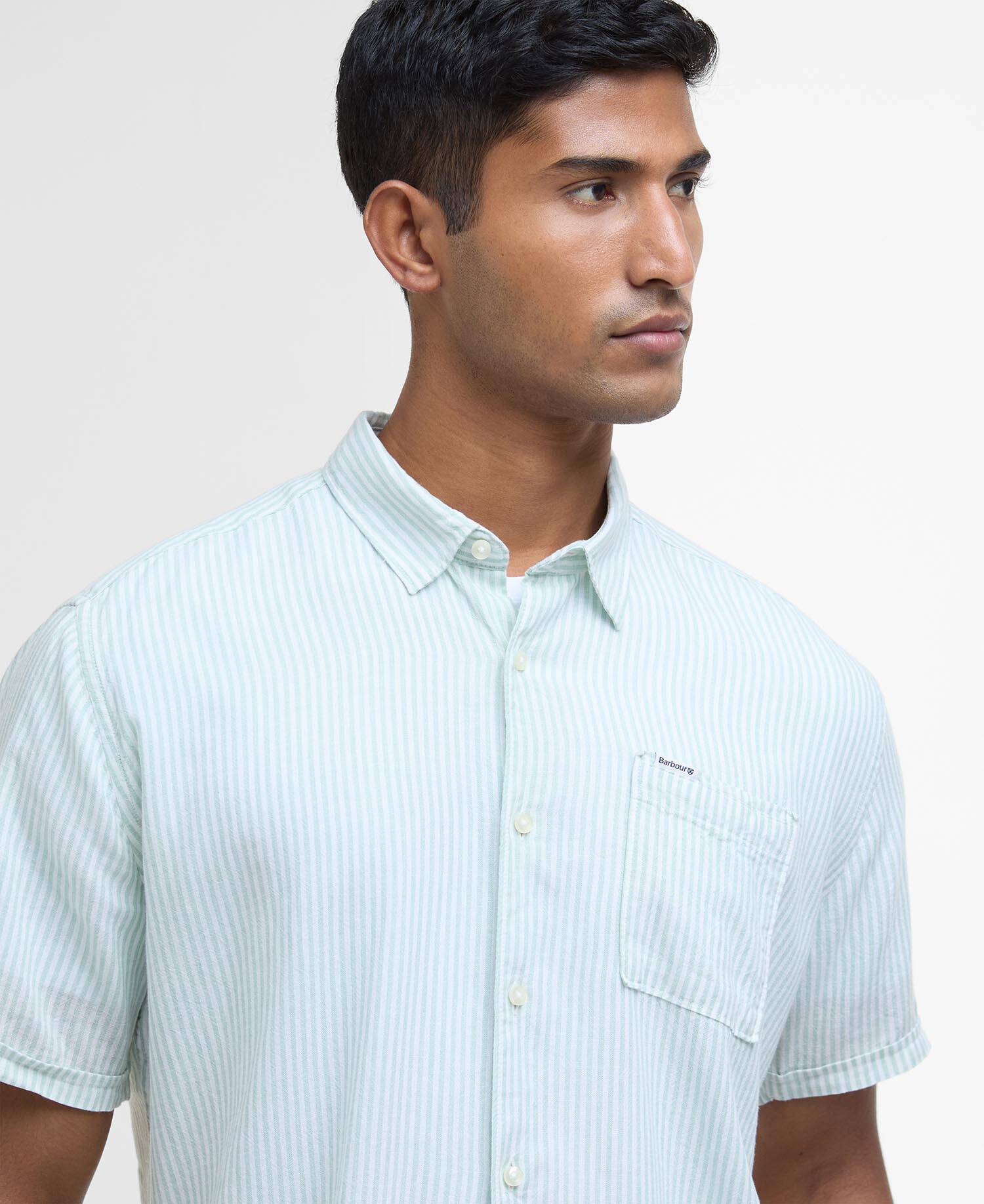 Deerpark Regular Short-Sleeved Shirt Pale Apple image number 3