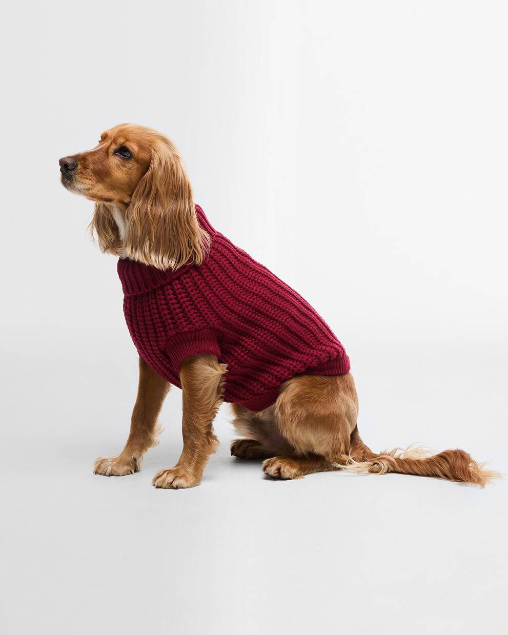 Saltburn Dog Jumper