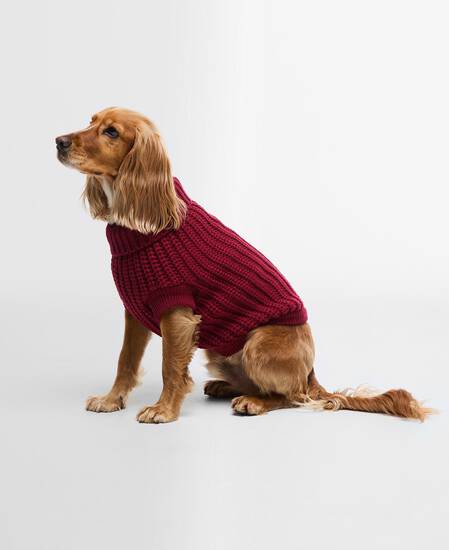 Saltburn Dog Jumper Biking Red
