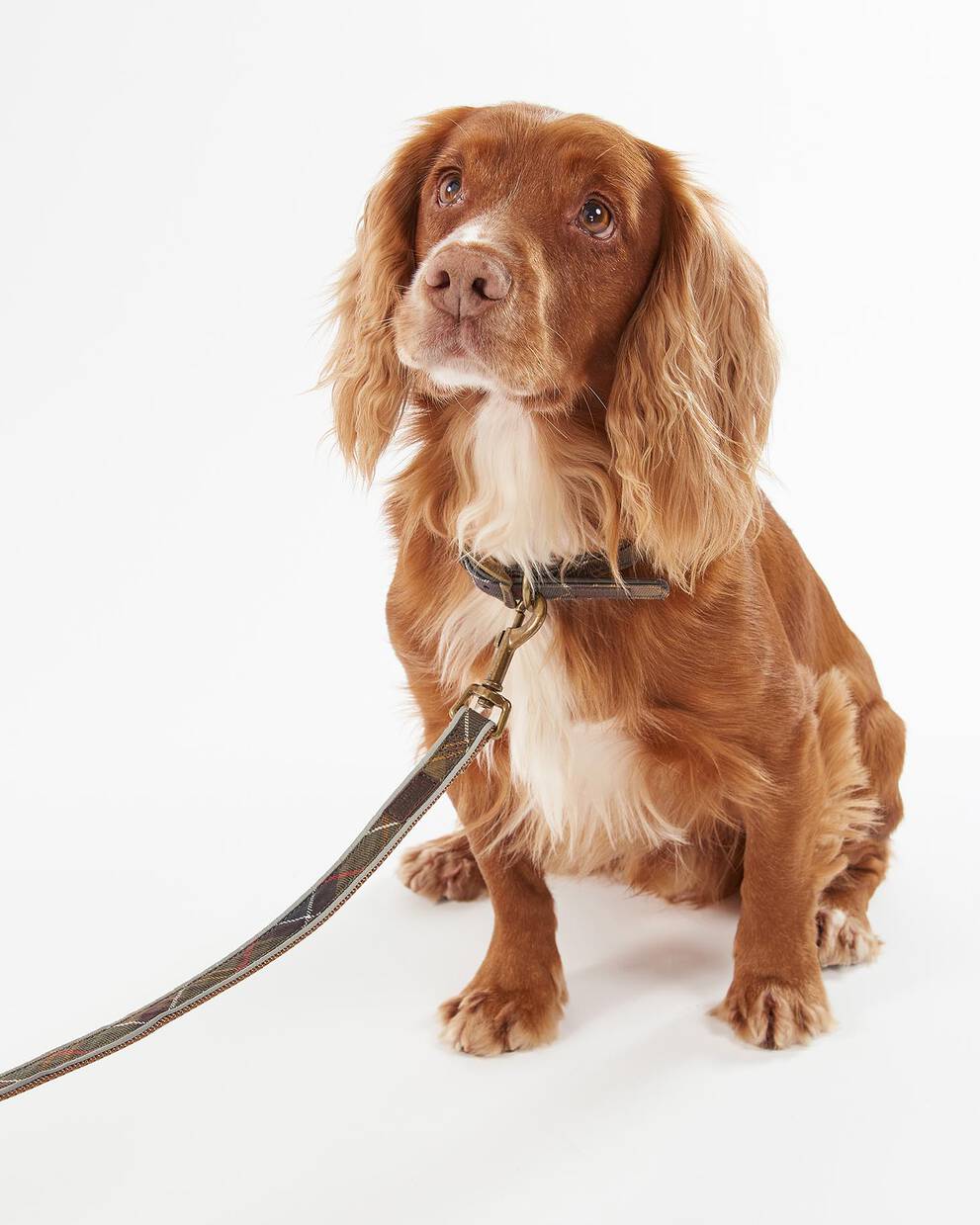 Reflective Tartan Dog Lead