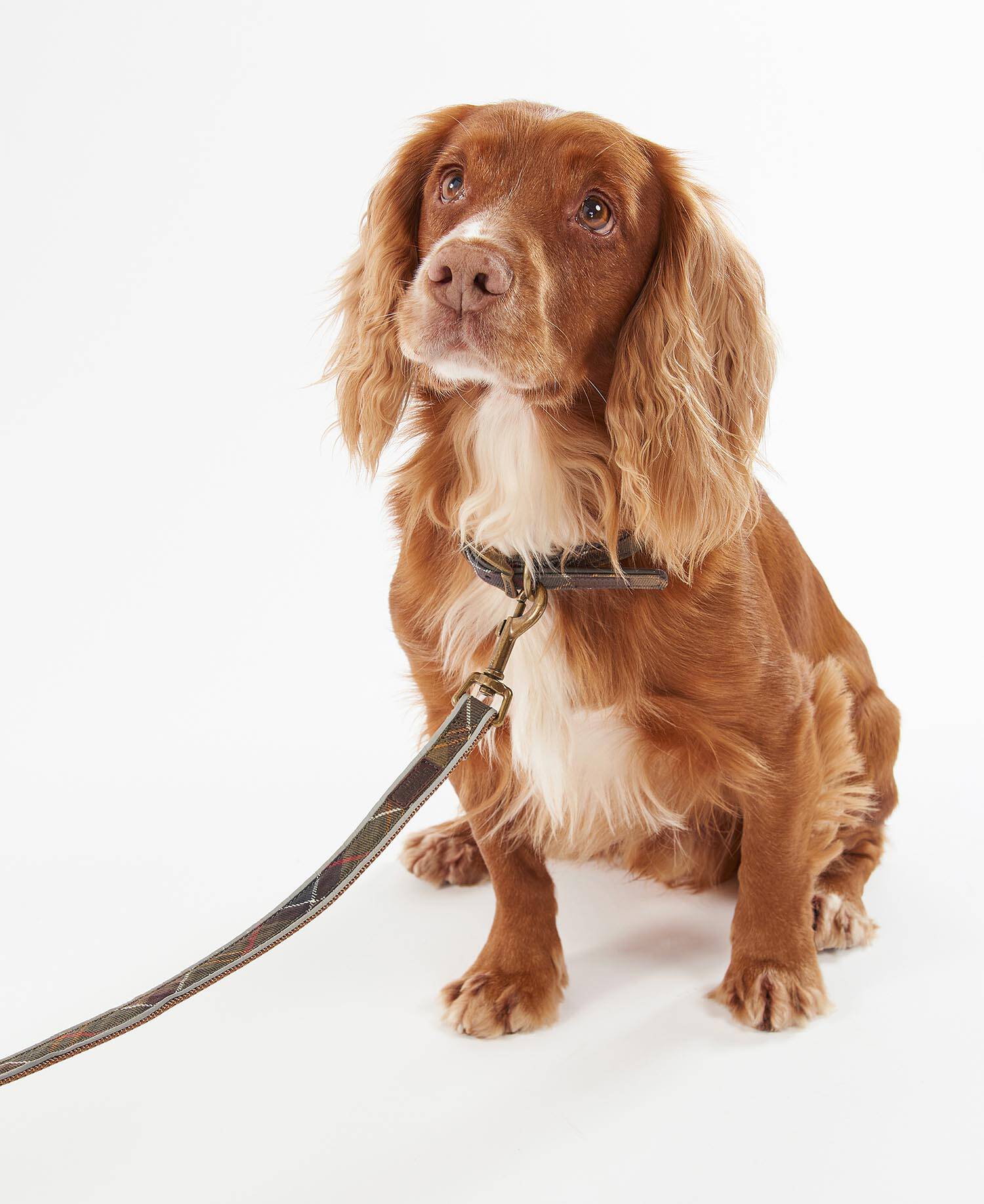 Reflective Tartan Dog Lead Classic Tartan image number 1