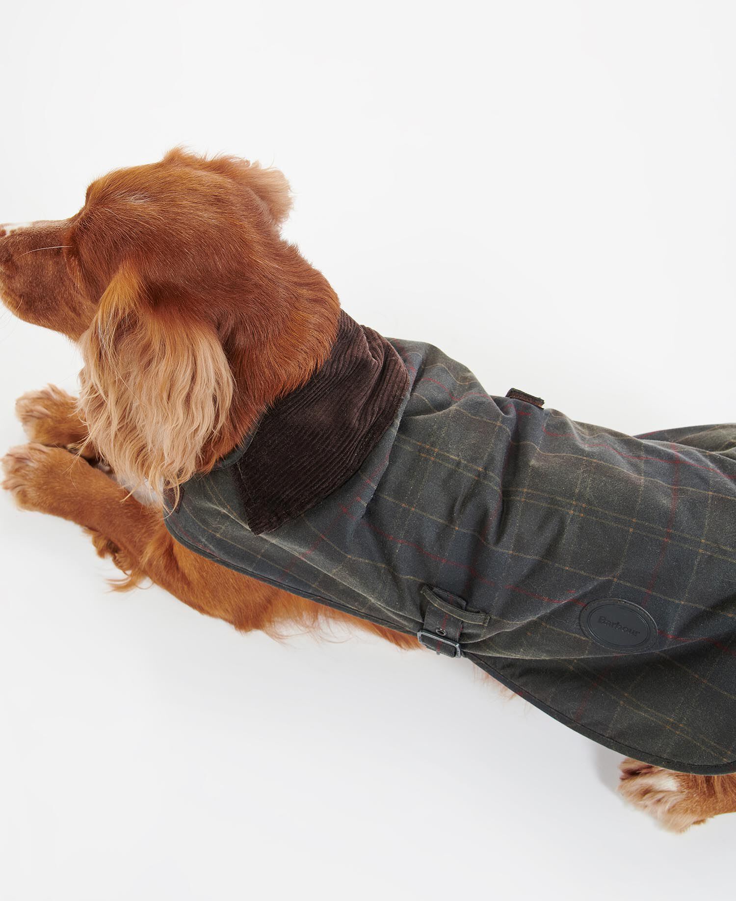 Buy Tartan Waxed Dog Coat for N/A 0.0 | BARBOUR_US