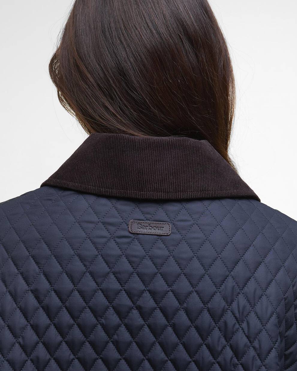 Mantella trapuntata Oakham