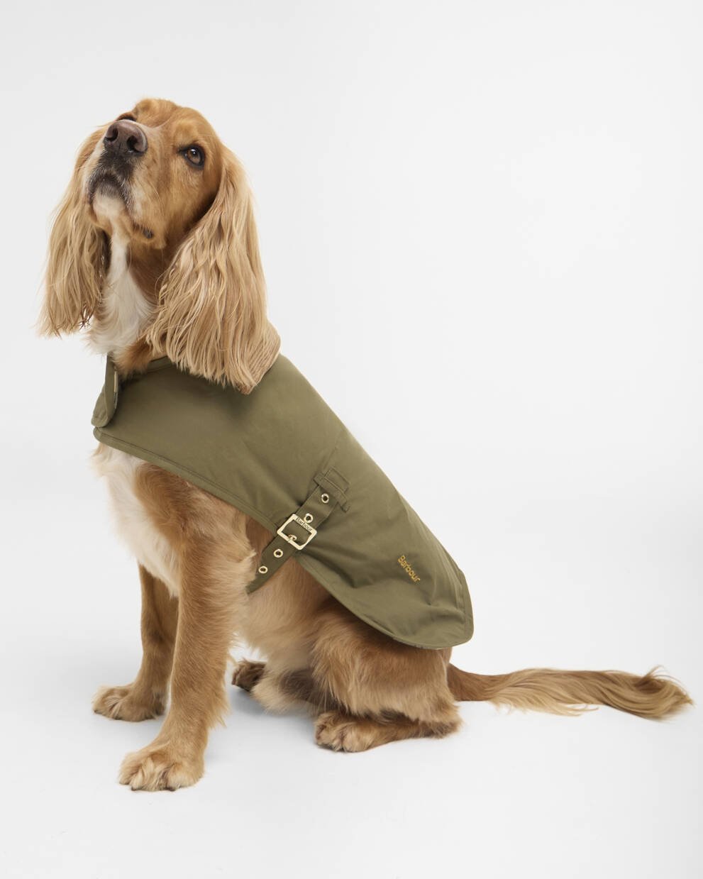 Transport Dog Coat