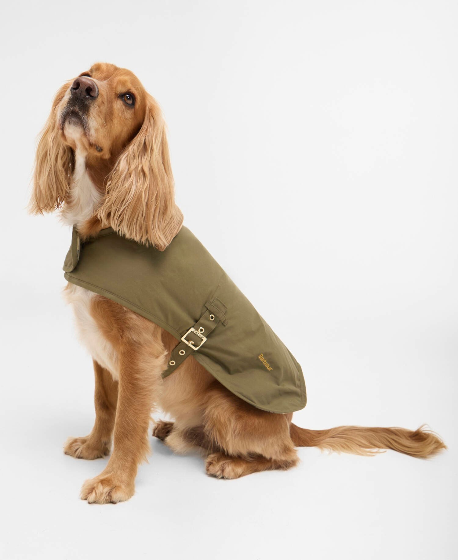 Transport Dog Coat Dusky Green image number 1